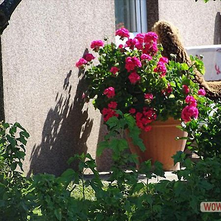 Ferienwohnung Greim Sankt Peter am Kammersberg Εξωτερικό φωτογραφία