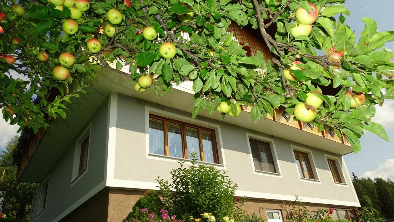 Ferienwohnung Greim Sankt Peter am Kammersberg Εξωτερικό φωτογραφία